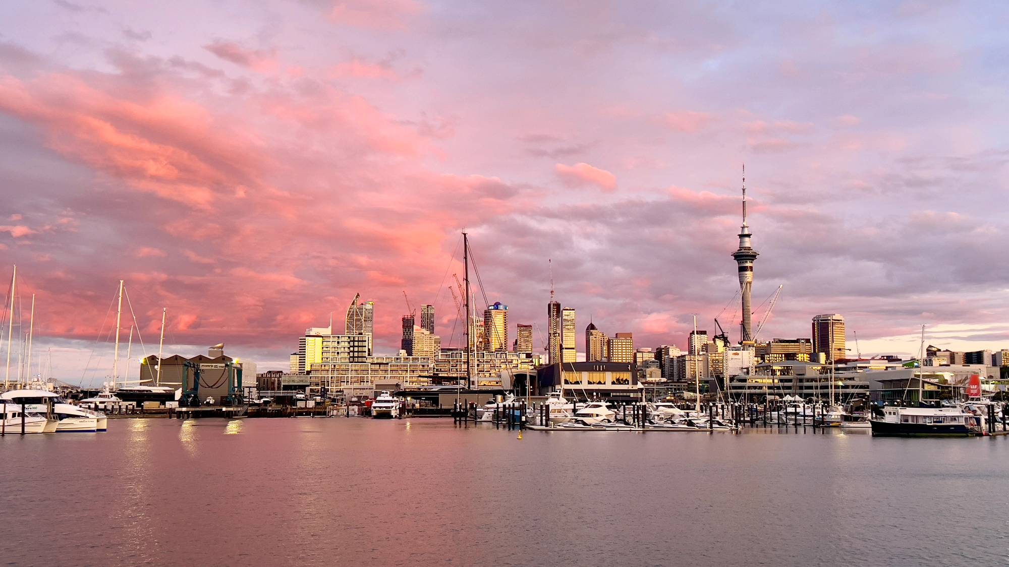 Language Classes Cost in Auckland (2026) — cost guide